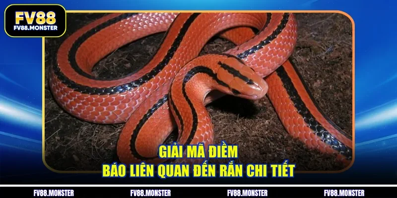 Giải mã điềm báo liên quan đến rắn chi tiết