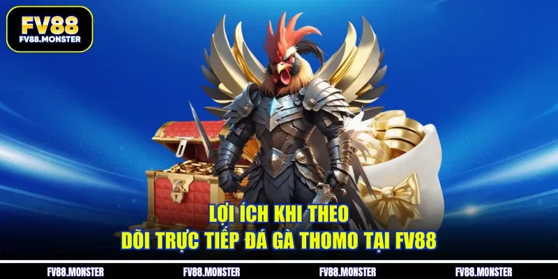 Lợi ích khi theo dõi trực tiếp đá gà Thomo tại FV88