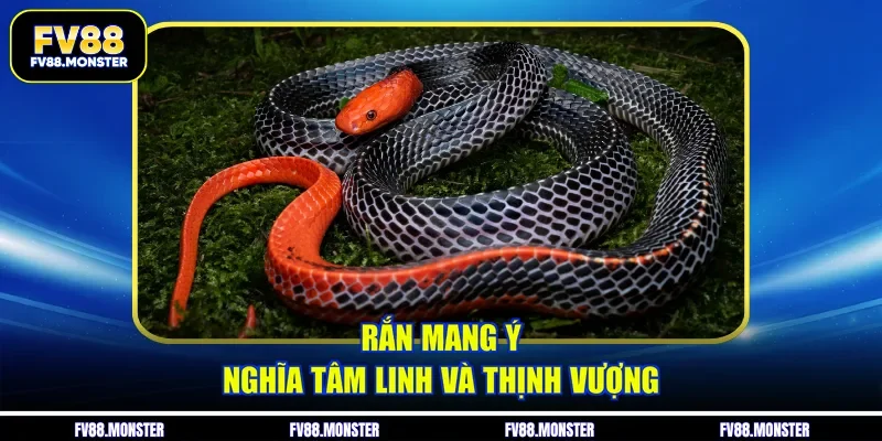 Rắn mang ý nghĩa tâm linh và thịnh vượng